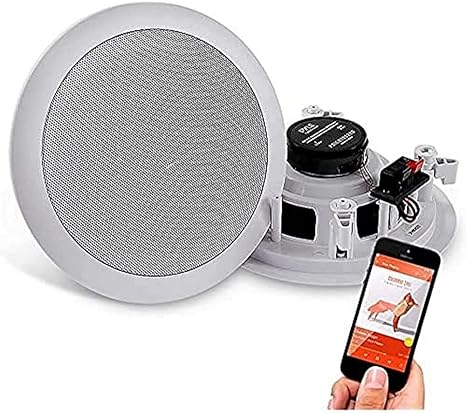 ceiling wireless bluetooth speakers