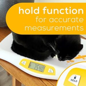 beurer by80 digital baby scale