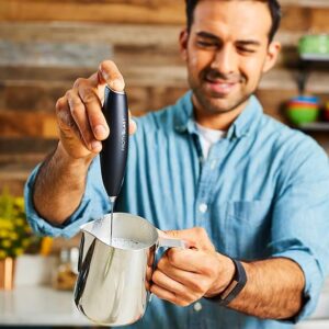 milk frother handheld