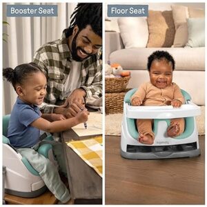 ingenuity baby base 2-in-1 booster