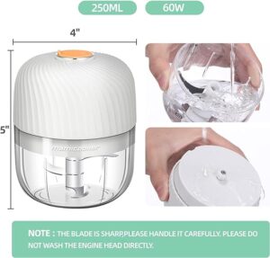 best electric garlic chopper

