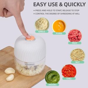 best electric garlic chopper